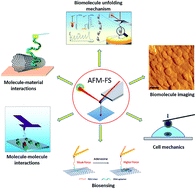 Graphical abstract: AFM-based force spectroscopy for bioimaging and biosensing