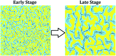 Graphical abstract: Effect of multi-walled carbon nanotubes on the morphology evolution, conductivity and rheological behaviors of poly(methyl methacrylate)/poly(styrene-co-acrylonitrile) blends during isothermal annealing