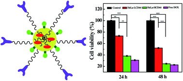 Graphical abstract: Branched polyethyleneimine modified with hyaluronic acid via a PEG spacer for targeted anticancer drug delivery
