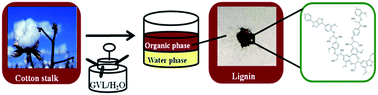 Graphical abstract: Efficient recovery and structural characterization of lignin from cotton stalk based on a biorefinery process using a γ-valerolactone/water system