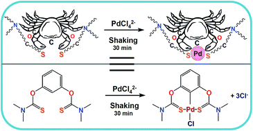 Graphical abstract: Rapid and selective extraction of Pd(ii) ions using the SCS type pincer ligand 1,3-bis(dimethylthiocarbamoyloxy)benzene, and its Pd(ii) extraction mechanism