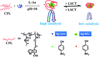 Graphical abstract: Temperature-dependent catalytic reduction of 4-nitrophenol based on silver nanoclusters protected by a thermo-responsive copolymer ligand