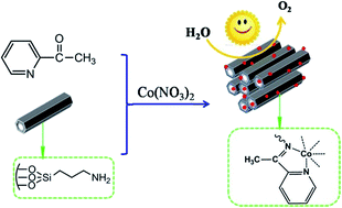 Graphical abstract: Cobalt salophen functionalized SBA-15 as an active catalyst for photocatalytic water oxidation