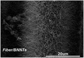Graphical abstract: In situ growth behavior of boron nitride nanotubes on the surface of silicon carbide fibers as hierarchical reinforcements