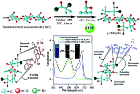 Graphical abstract: Synthesis of copolymer derived from tamarind kernel polysaccharide (TKP) and poly(methacrylic acid) via SI-ATRP with enhanced pH triggered dye removal