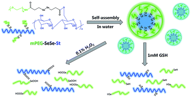 Graphical abstract: Dual redox-triggered shell-sheddable micelles self-assembled from mPEGylated starch conjugates for rapid drug release