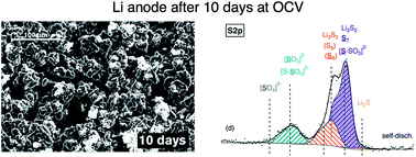 Graphical abstract: The Li–S battery: an investigation of redox shuttle and self-discharge behaviour with LiNO3-containing electrolytes