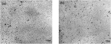 Graphical abstract: Effects of representative quantum dots on microorganisms and phytoplankton: a comparative study
