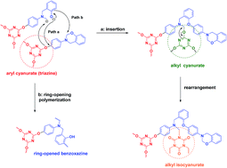 Graphical abstract: A study on the co-reaction of benzoxazine and triazine through a triazine-containing benzoxazine