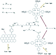 Graphical abstract: Photothermal and photodynamic therapy reagents based on rGO–C6H4–COOH