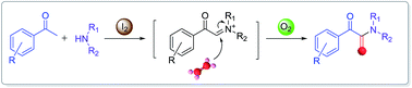 Graphical abstract: I2-promoted aerobic oxidative coupling of acetophenes with amines under metal-free conditions: facile access to α-ketoamides