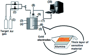 Graphical abstract: Highly sensitive and selective ethanol and acetone gas sensors by adding some dopants (Mn, Fe, Co, Ni) onto hexagonal ZnO plates
