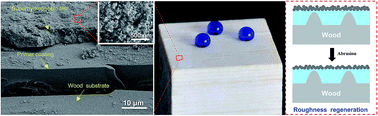 Graphical abstract: Fabrication of robust, damage-tolerant superhydrophobic coatings on naturally micro-grooved wood surfaces