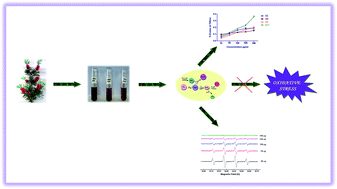 Graphical abstract: Evaluation of total antioxidant and free radical scavenging activities of Callistemon citrinus (Curtis) Skeels extracts by biochemical and electron paramagnetic resonance analyses