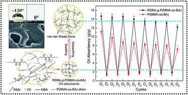 Graphical abstract: Synthesis and properties of the rapeseed meal-grafted-poly(methyl methacrylate-co-butyl acrylate) oil-absorbents
