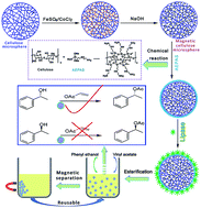 Graphical abstract: Preparation of a magnetic responsive immobilized lipase–cellulose microgel catalyst system: role of the surface properties of the magnetic cellulose microgel
