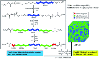 Graphical abstract: A clean synthesis approach to biocompatible amphiphilic conetworks via reversible addition–fragmentation chain transfer polymerization and thiol–ene chemistry