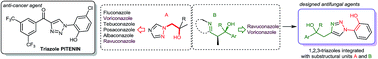 Graphical abstract: Re-engineering of PIP3-antagonist triazole PITENIN's chemical scaffold: development of novel antifungal leads