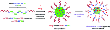 Graphical abstract: Intracellular thiol-responsive nanosized drug carriers self-assembled by poly(ethylene glycol)-b-poly(ε-caprolactone)-b-poly(ethylene glycol) having multiple bioreducible disulfide linkages in hydrophobic blocks