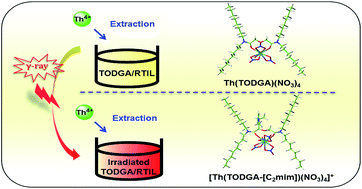 Graphical abstract: γ-Radiation effect on Th4+ extraction behaviour of TODGA/[C2mim][NTf2]: identification and extractability study of radiolytic products