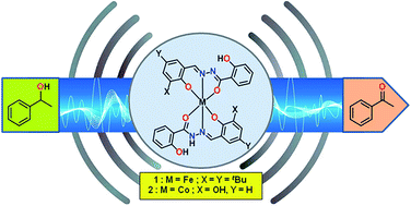 Graphical abstract: Iron(iii) and cobalt(iii) complexes with both tautomeric (keto and enol) forms of aroylhydrazone ligands: catalysts for the microwave assisted oxidation of alcohols