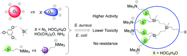 Graphical abstract: Structure–activity relationship study of cationic carbosilane dendritic systems as antibacterial agents