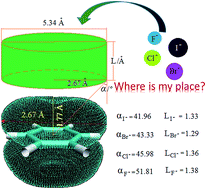 Graphical abstract: Fluorine substitution effects of halide anion receptors based on the combination of a distinct hydrogen bond and anion–π noncovalent interactions: a theoretical investigation