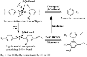 Graphical abstract: Selective cleavage of aryl ether bonds in dimeric lignin model compounds