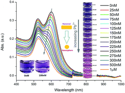 Graphical abstract: Colorimetric detection of lead(ii) ions based on accelerating surface etching of gold nanorods to nanospheres: the effect of sodium thiosulfate