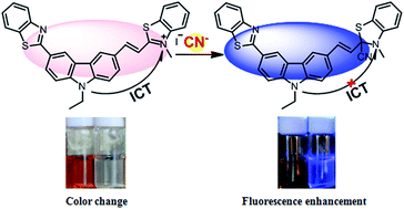 Graphical abstract: A colorimetric and ratiometric fluorescent probe for the selective detection of cyanide anions in aqueous media and living cells