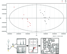 Graphical abstract: Multi-dimensional, comprehensive sample extraction combined with LC-GC/MS analysis for complex biological samples: application in the metabolomics study of acute pancreatitis