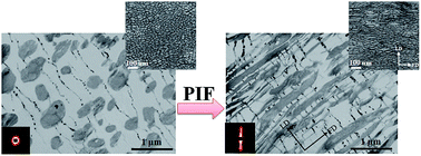 Graphical abstract: Engineering oriented hierarchical lamellar structures in SBS/PS blends via a pressure-induced flow field