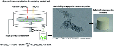 Graphical abstract: Synthesis of protein/hydroxyapatite nano-composites by a high-gravity co-precipitation method