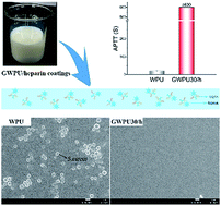 Graphical abstract: Dual-functional anticoagulant and antibacterial blend coatings based on gemini quaternary ammonium salt waterborne polyurethane and heparin