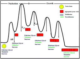 Graphical abstract: Differential influence of additives on the various stages of insulin aggregation