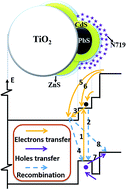 Graphical abstract: Improved charge separation and transport efficiency in panchromatic-sensitized solar cells with co-sensitization of PbS/CdS/ZnS quantum dots and dye molecules