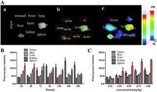 Graphical abstract: Photodynamic diagnosis of gastric cancer using HPPH-CD