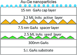 Graphical abstract: AuGe surface plasmon enhances photoluminescence of the InAs/GaAs bilayer quantum dot heterostructure