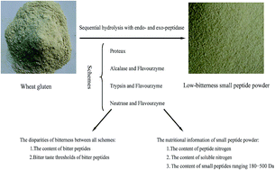 Graphical abstract: Effect of sequential hydrolysis with endo- and exo-peptidase on bitterness properties of wheat gluten hydrolysates
