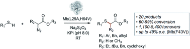 Graphical abstract: Intermolecular carbene S–H insertion catalysed by engineered myoglobin-based catalysts