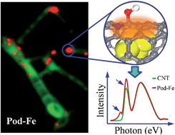 Graphical abstract: Visualizing electronic interactions between iron and carbon by X-ray chemical imaging and spectroscopy