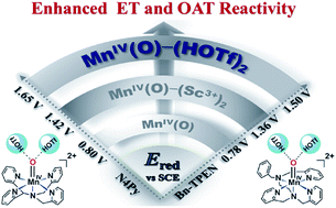 Graphical abstract: Tuning the reactivity of mononuclear nonheme manganese(iv)-oxo complexes by triflic acid