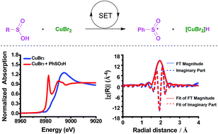 Graphical abstract: Operando X-ray absorption and EPR evidence for a single electron redox process in copper catalysis