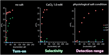 Graphical abstract: Tailoring of the desired selectivity and the turn-on detection range in a self-assembly-based fluorescence sensory system