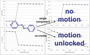 Graphical abstract: Achieving dynamic behaviour and thermal expansion in the organic solid state via co-crystallization
