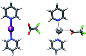 Graphical abstract: Counterion influence on the N–I–N halogen bond