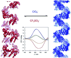 Graphical abstract: Homochiral self-assembly of biocoordination polymers: anion-triggered helicity and absolute configuration inversion