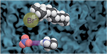 Graphical abstract: The origin of surfactant amphiphilicity and self-assembly in protic ionic liquids