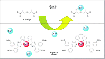 Graphical abstract: Hydrophilic sulfonated bis-1,2,4-triazine ligands are highly effective reagents for separating actinides(iii) from lanthanides(iii) via selective formation of aqueous actinide complexes