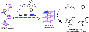 Graphical abstract: Terpyridine–Cu(ii) targeting human telomeric DNA to produce highly stereospecific G-quadruplex DNA metalloenzyme